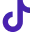 TikTok icon